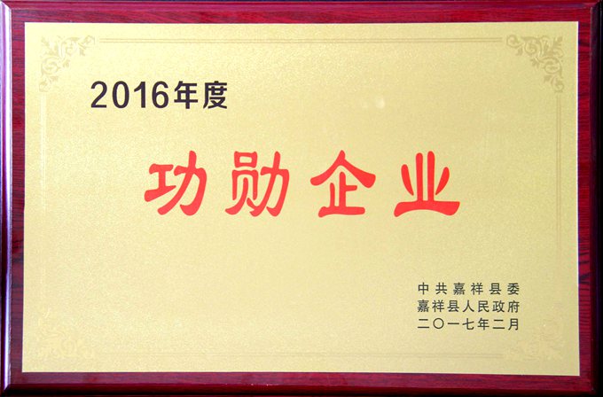 201702嘉祥县功勋企业